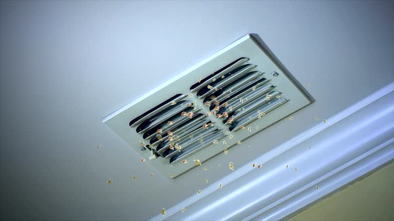 Best Dryer Vent Cleaning Services  in Pecatonica, IL