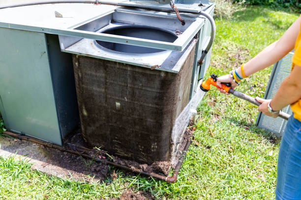 Best Ductwork Cleaning Services  in Pecatonica, IL