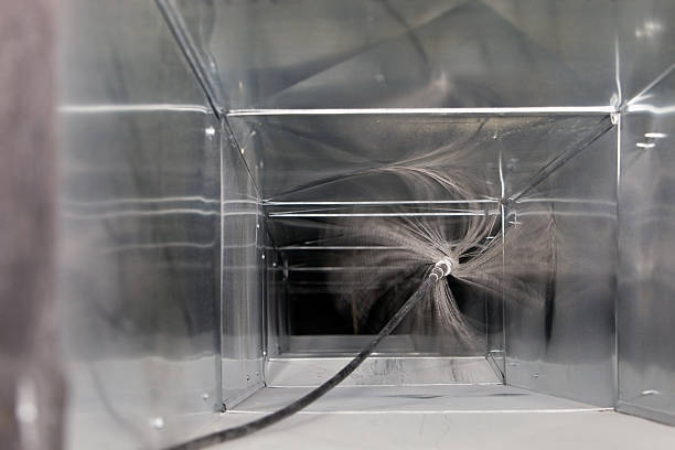 Best Affordable Duct Cleaning Services  in Pecatonica, IL