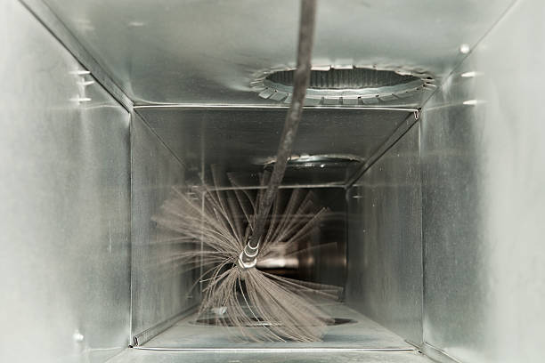 Best HVAC Duct Inspection Services  in Pecatonica, IL