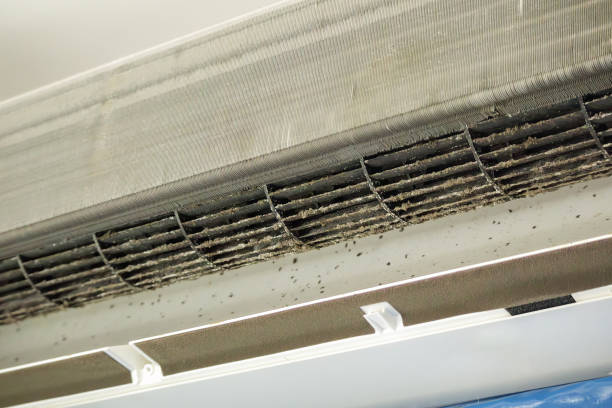Best Local Air Duct Cleaning Services  in Pecatonica, IL