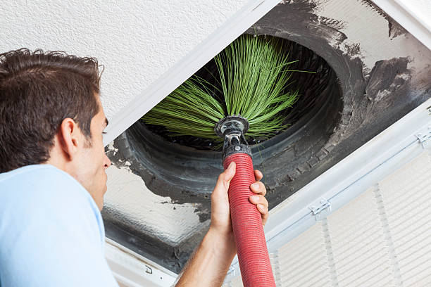Best Duct Cleaning for Offices  in Pecatonica, IL