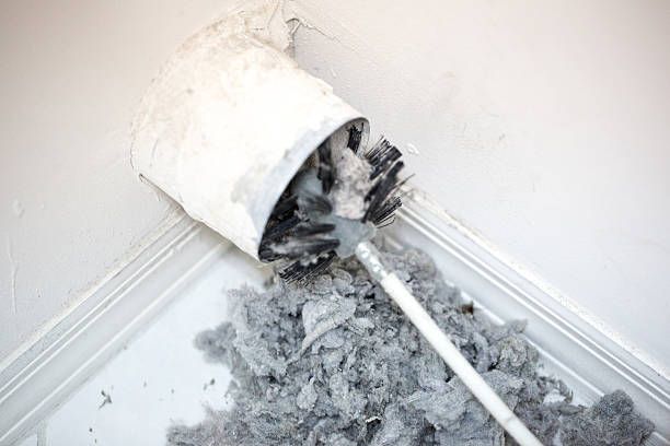 Best Air Duct Cleaning Near Me  in Pecatonica, IL